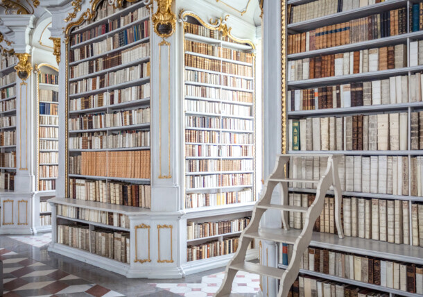     The world largest monastic library at Admont Abbey in Admont in Styria / Admont